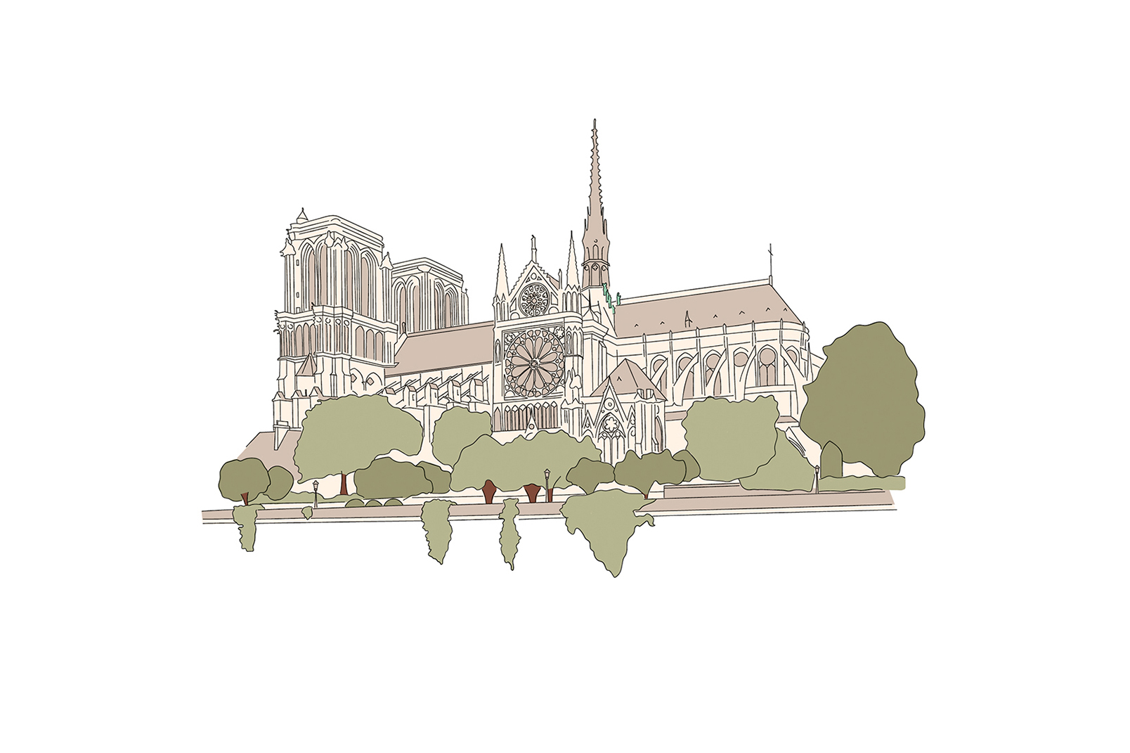 M_PM_011_colore verde 1 web